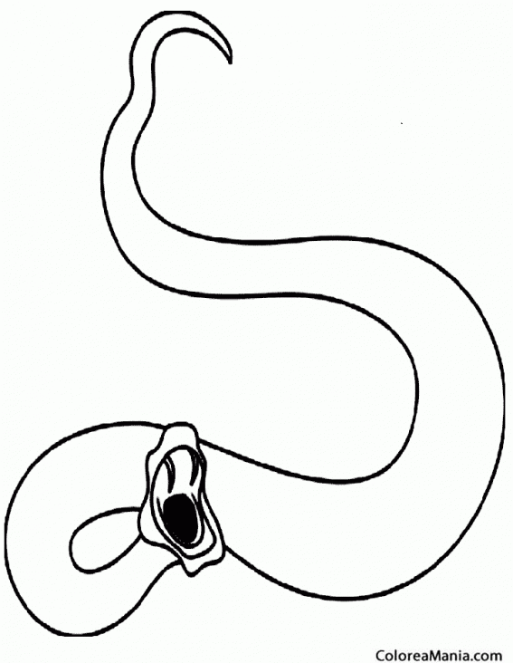 Colorear Silueta Serpiente 2