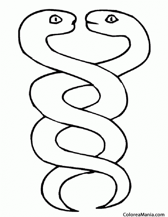 Colorear Dos Serpientes