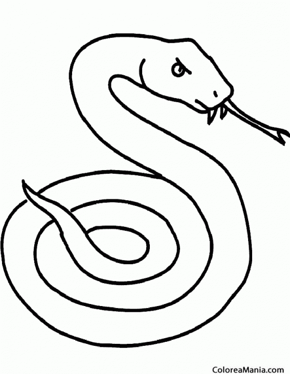 Colorear Serpiente bfida