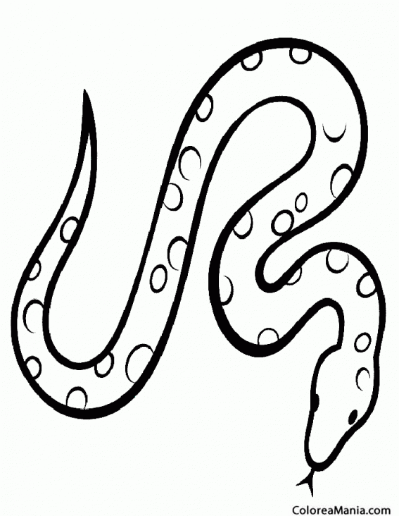 Colorear Serpiente del Maíz (Reptiles), dibujo para colorear gratis