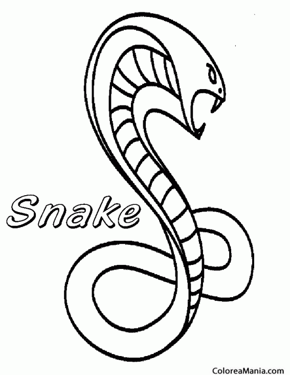 Colorear Serpiente Cobra erecta