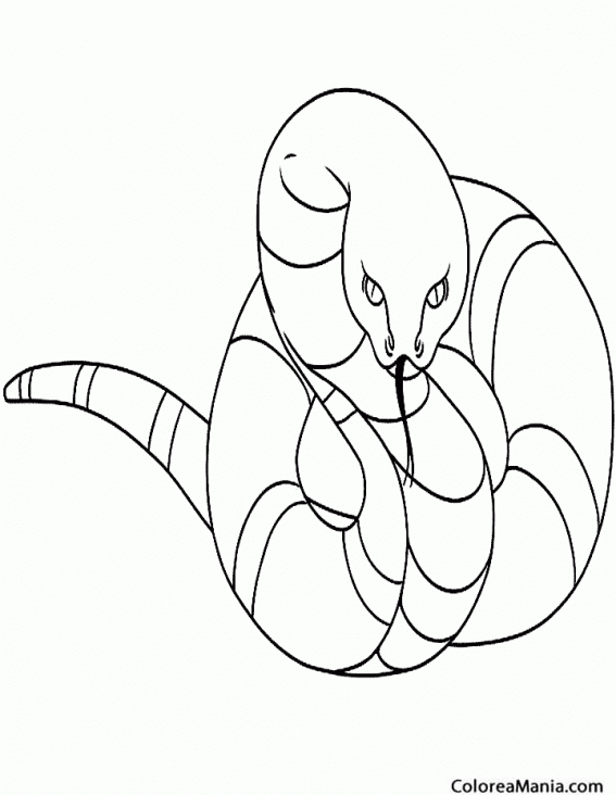 Colorear Serpiente Ltigo