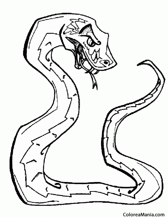 Colorear Serpiente iracunda