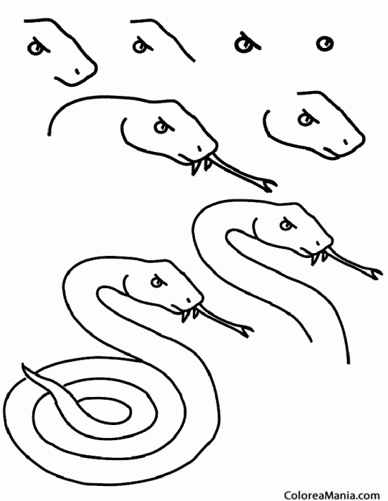 Colorear Serpiente con cuatro trazos