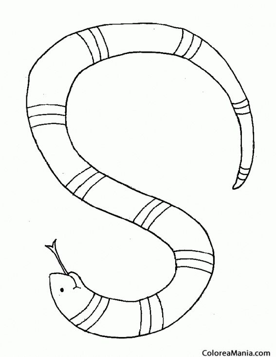 Colorear Serpiente Rey de San Luis de Potos 2