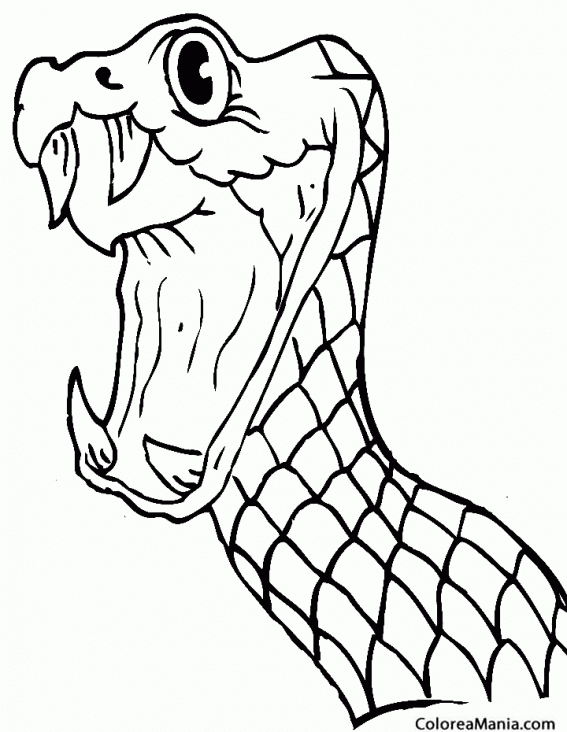 Colorear Cabeza de Serpiente (Reptiles), dibujo para colorear gratis