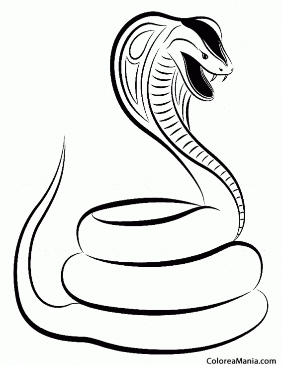 Colorear Serpiente flequillo negro