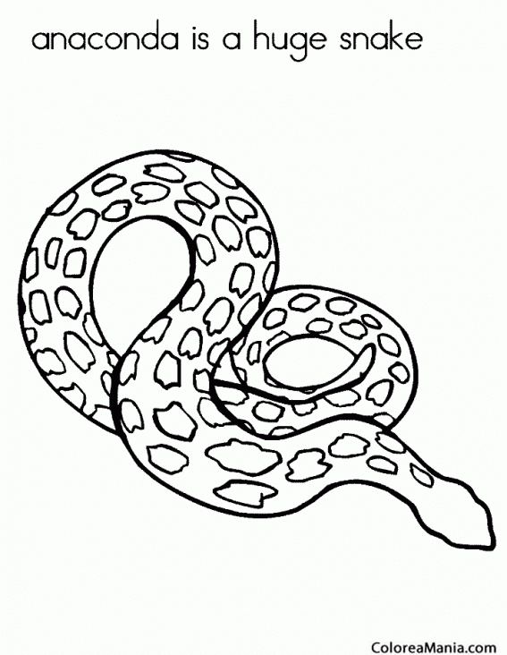 Colorear Serpiente Anaconda