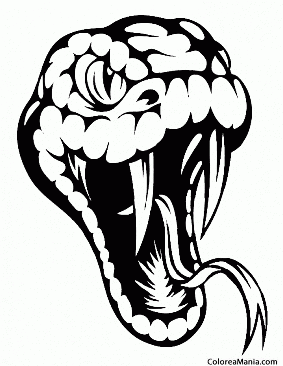 Colorear Cabeza Serpiente, tattos (Reptiles), dibujo para colorear gratis