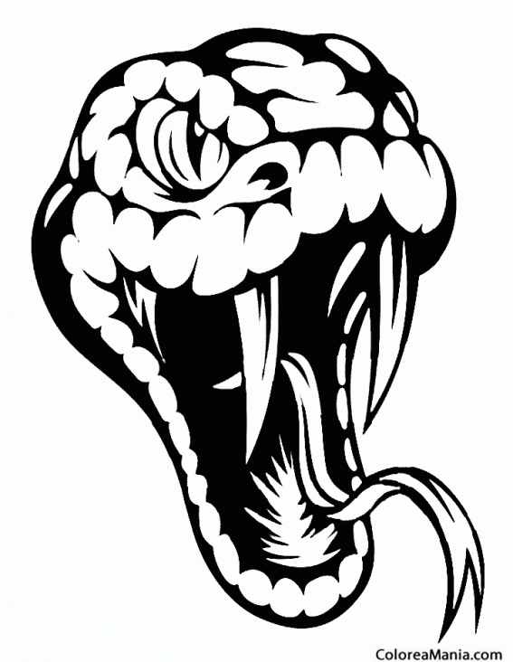 Colorear Cabeza Serpiente, tattos (Reptiles), dibujo para colorear gratis Colorear Cabeza Serpiente, tattos (Reptiles), dibujo para colorear gratis