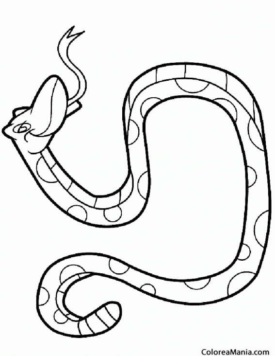 Colorear Serpiente de la Noche