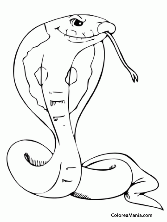 Colorear Serpiente Cobra de cabeza grande