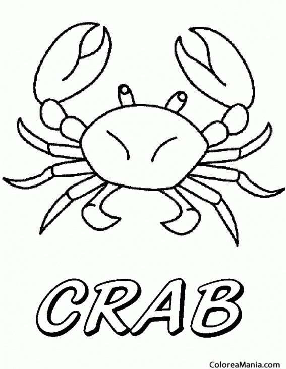Colorear C de crab. Cangrejo