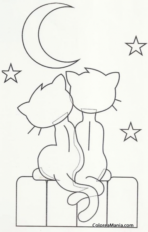 Colorear Gatos Amor En La Noche Animales Domesticos Dibujo