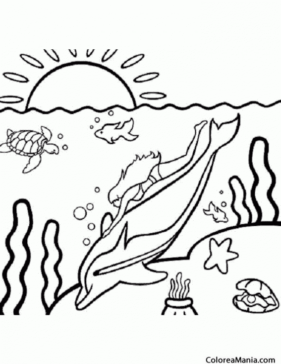 Colorear Delfín al atardecer (Animales Marinos), dibujo para colorear gratis