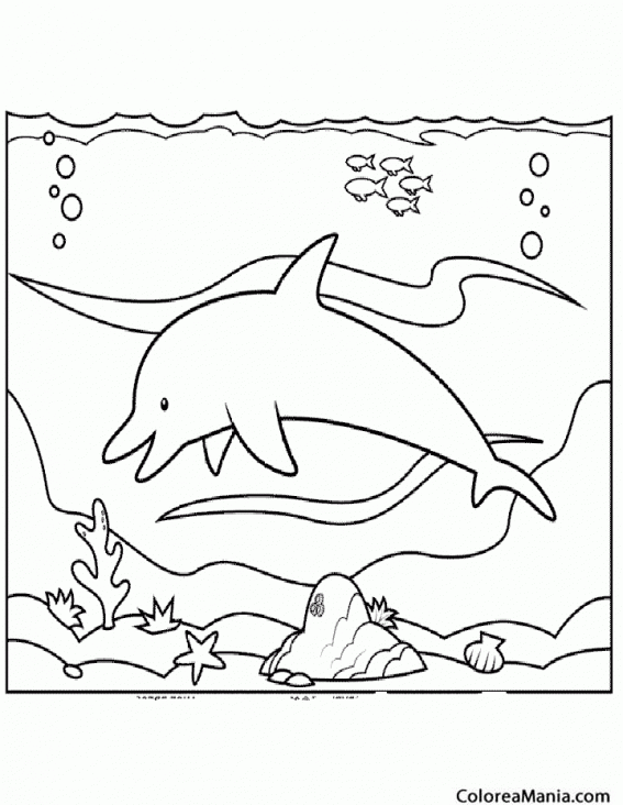 Colorear Delfín nadando por el fondo marino (Animales Marinos), dibujo para  colorear gratis