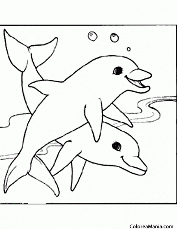 Colorear Un duo de delfines