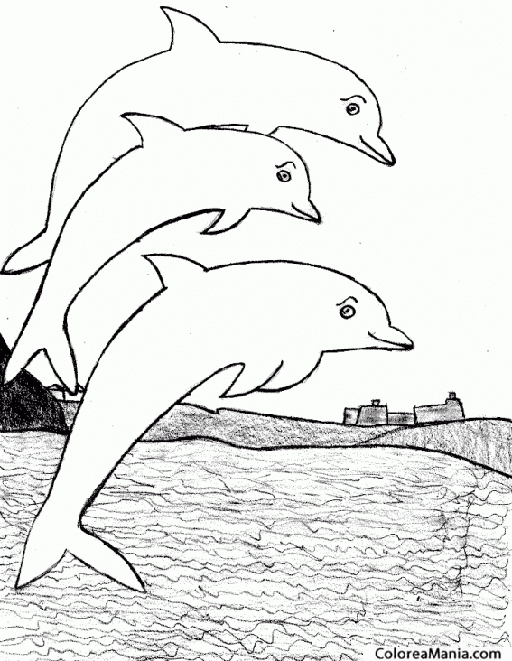 Colorear 3 Delfines saltando