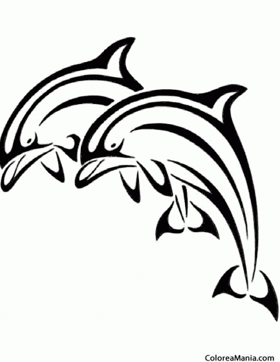 Colorear Delfines a la tinta