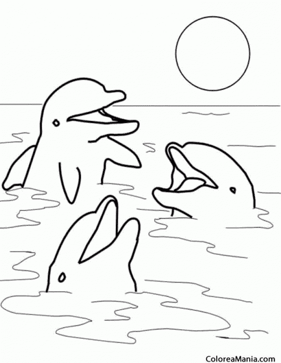 Colorear 3 Delfines charlando