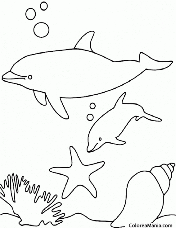 Colorear Delfines y burbujas (Animales Marinos), dibujo para colorear gratis