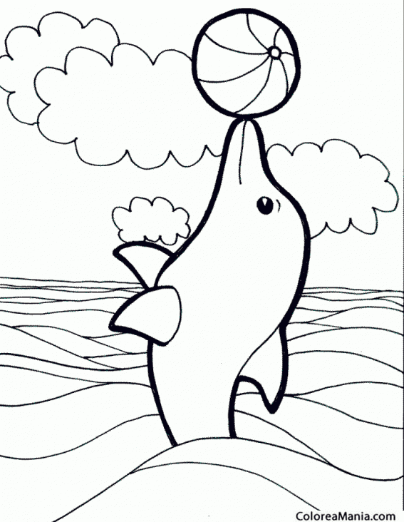Colorear Delfín, equilibrio con pelota (Animales Marinos), dibujo para  colorear gratis