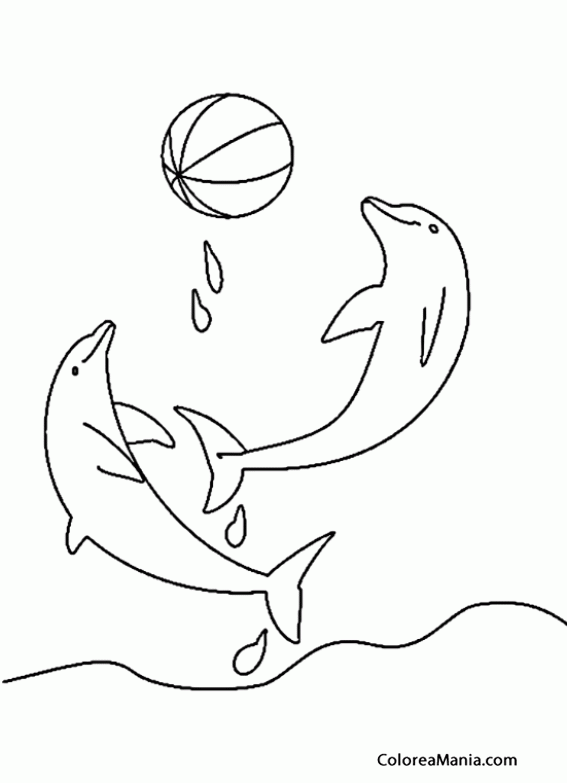 Colorear Dos Delfines jugando con pelota