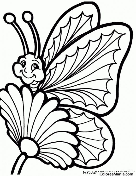 Colorear Mariposa infantil 2