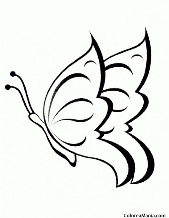 Colorear Mariposa fantasía (Insectos), dibujo para colorear gratis