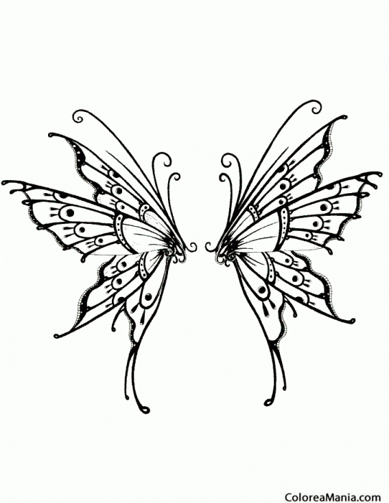 Colorear Dos Mariposas