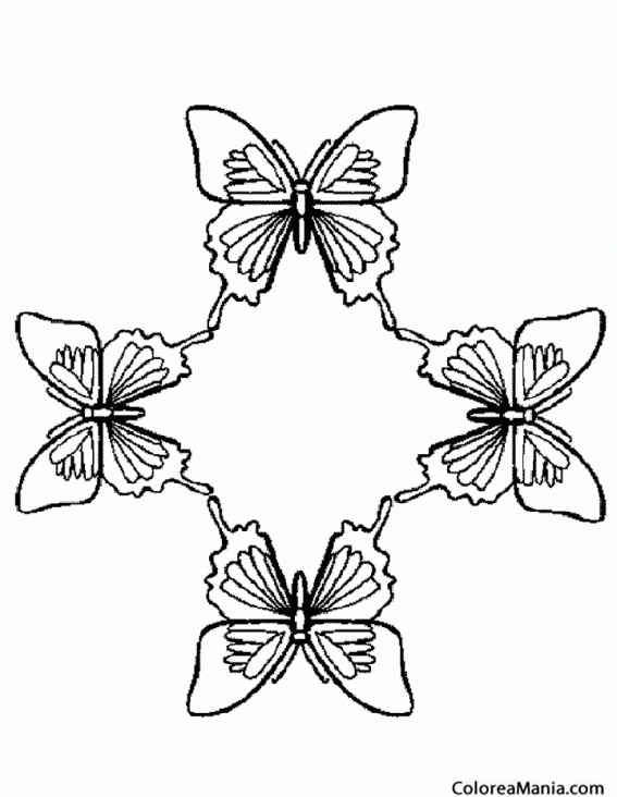 Colorear 4 Mariposas