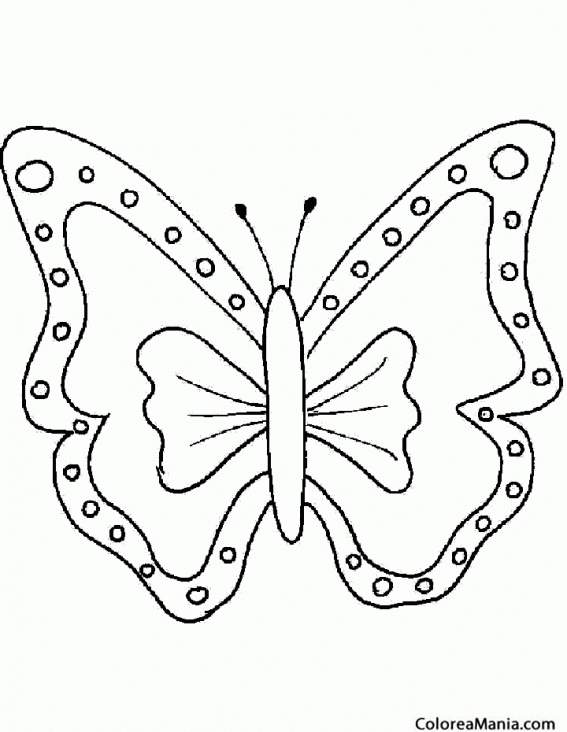 Colorear Mariposa fantasia 2