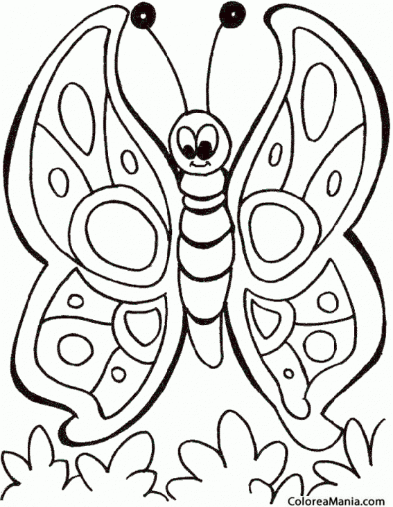 Colorear Mariposa, dibujo infantil (Insectos), dibujo para colorear gratis