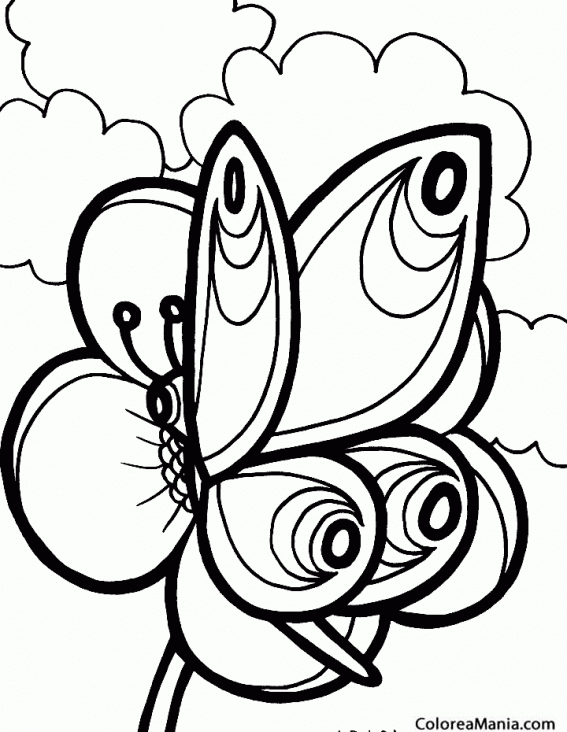Colorear Mariposa cuatro ocelos