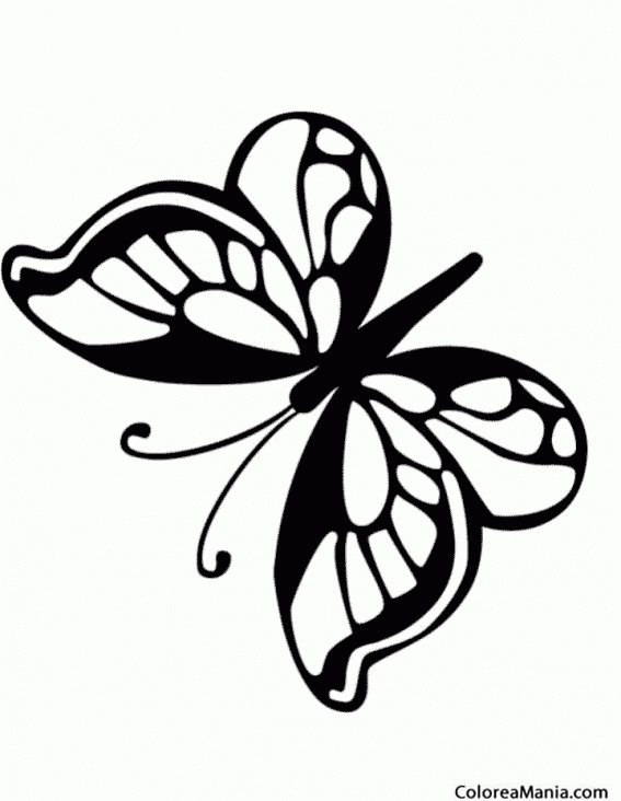 Colorear Mariposa negra 2