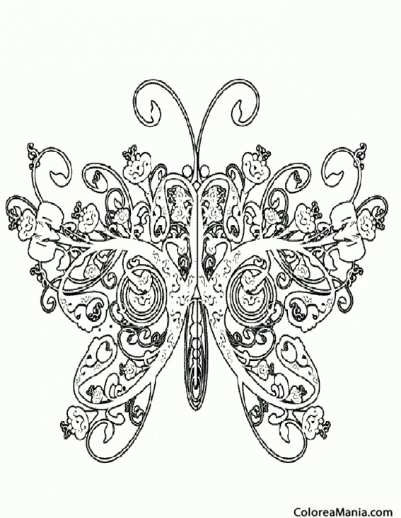 Colorear Mariposa fantasa 4