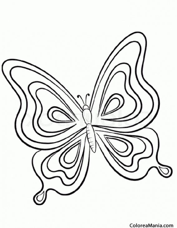 Colorear Mariposa concntrica