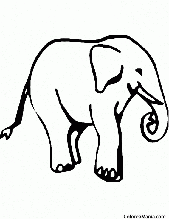 Colorear Elefante, dibujo con tinta