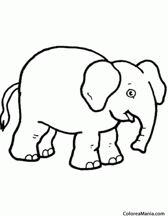 Colorear Elefante, dibujo infantil