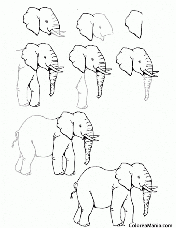 Colorear Como dibujar Elefante (Animales de la Sabana), dibujo para colorear gratis Colorear Como dibujar Elefante (Animales de la Sabana), dibujo para colorear gratis