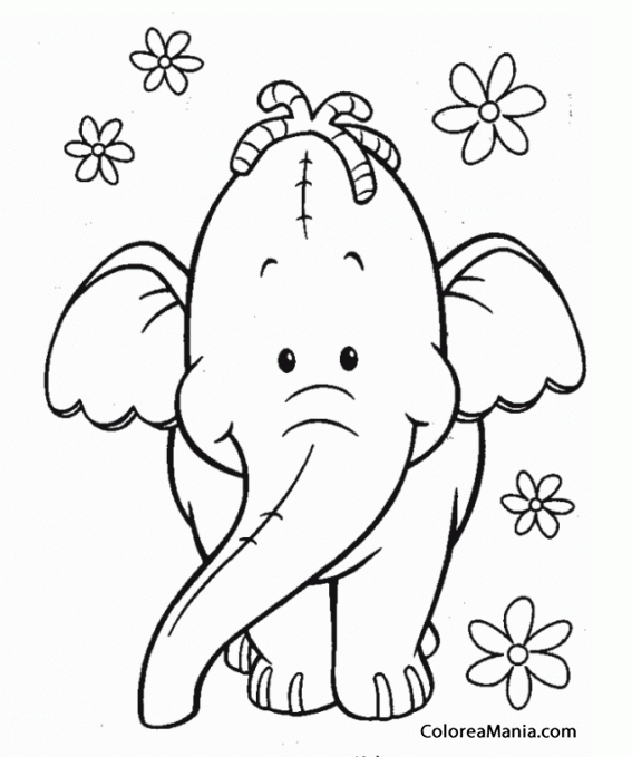 Colorear Elefante con estrella de mar