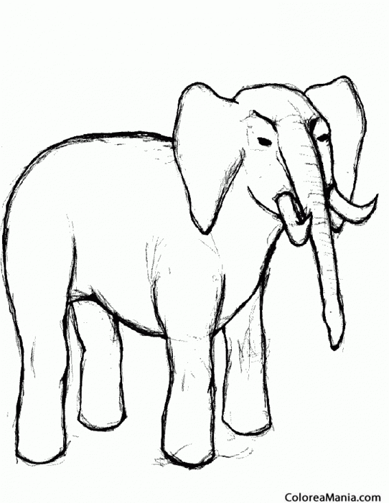 Colorear Elefante de mirada enojad