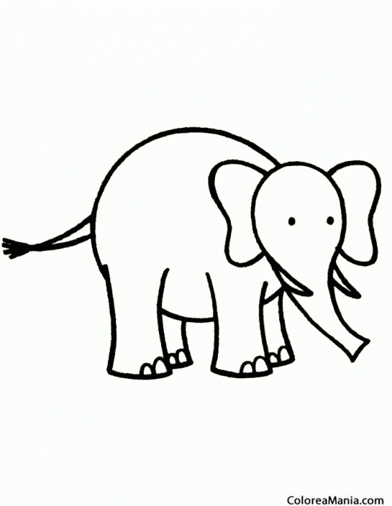 Colorear Elefante dibujo Infantil 2
