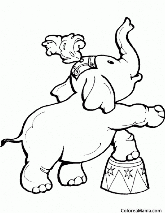 Colorear Elefante de circo chiquitn
