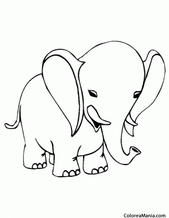 Colorear Elefante de cabeza grande