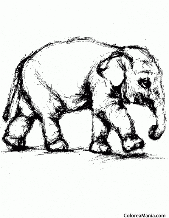 Colorear Elefante borroso