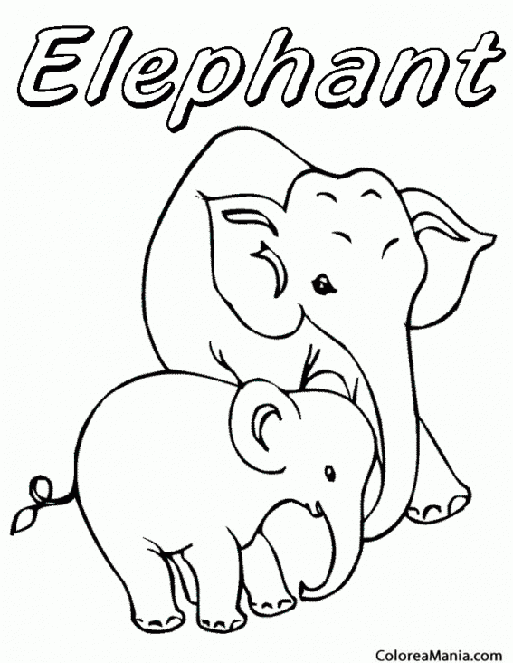 Colorear e de Elephant. Elefante