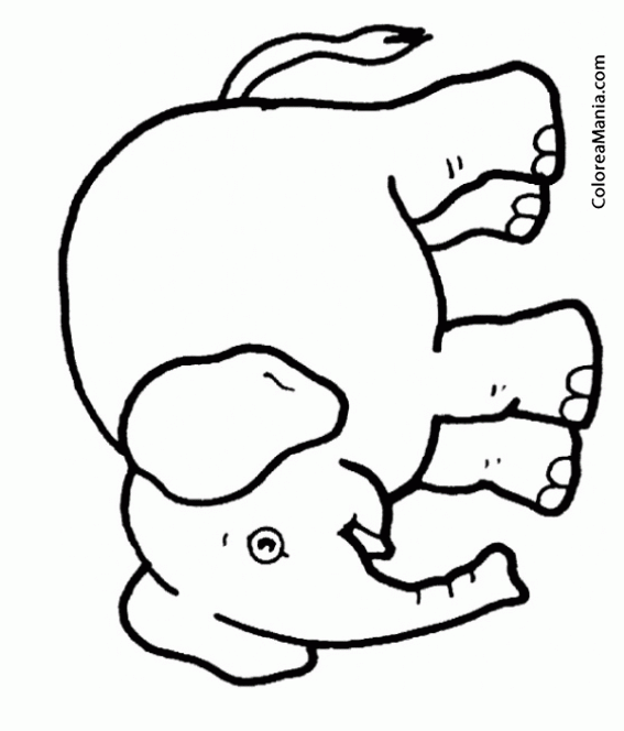 Colorear Elefante con boca abierta