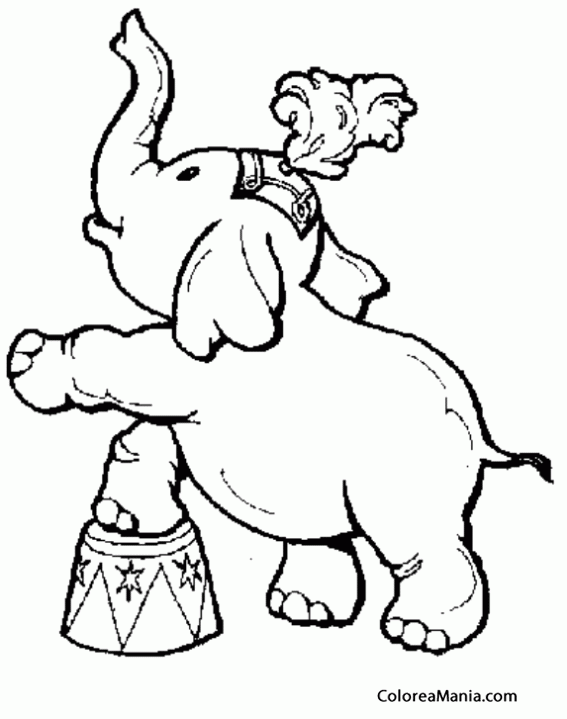 Colorear Elefantito de circo subiendo a la tarima