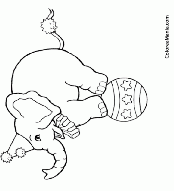 Colorear Elefante, equilibrios sobre bola